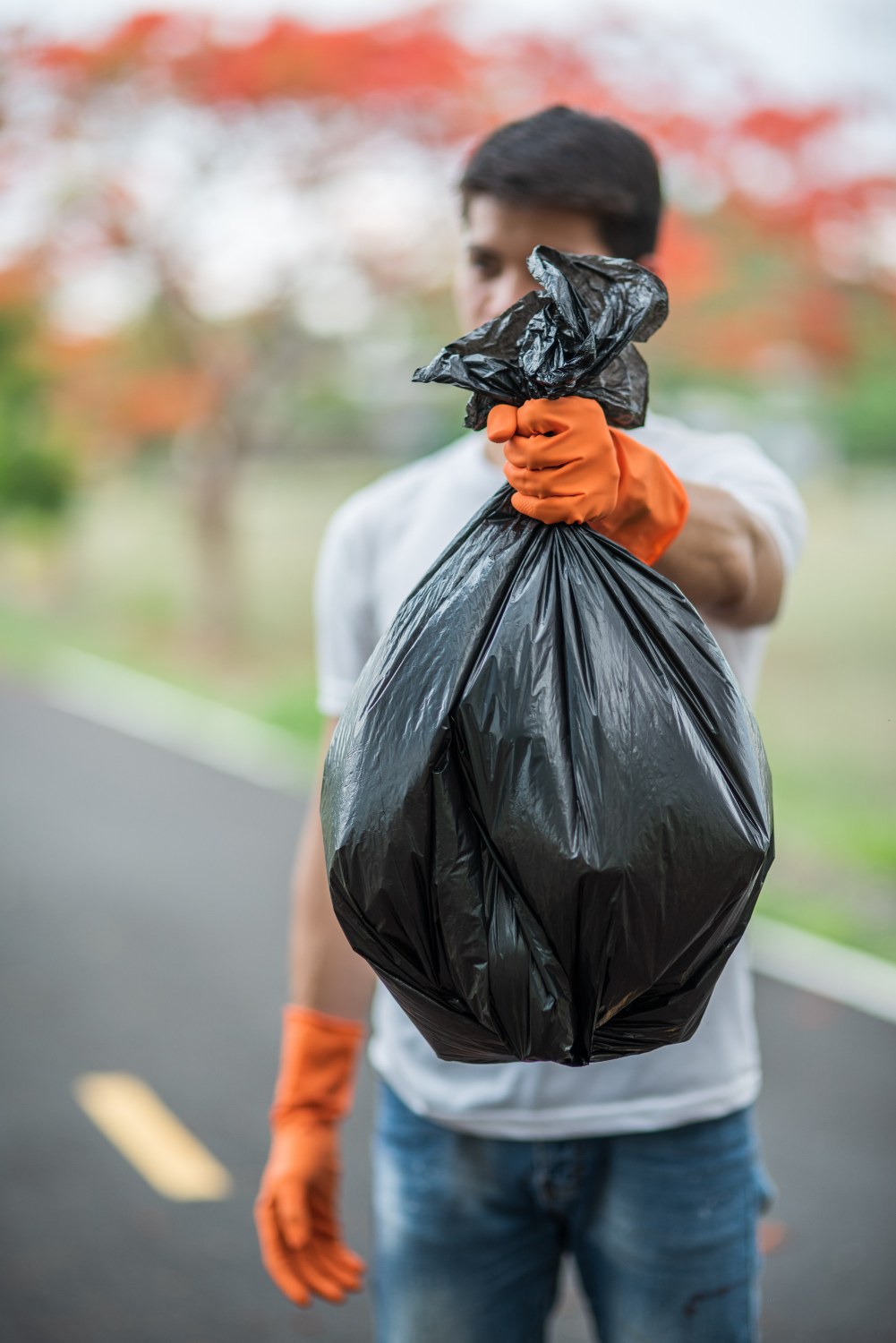 Garbage bin cleaning Regina